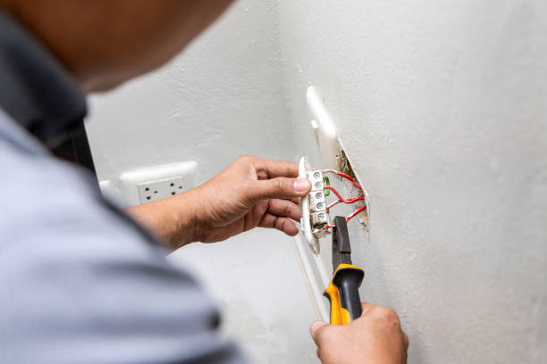 Best Electric Panel Repair  in Gray Summit, MO